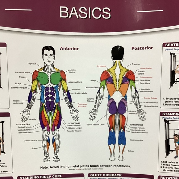 Functional Trainer Basics Poster - Picture 2 of 3